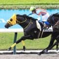 【福島３Ｒ・３歳未勝利】ブービー人気、単勝２５０・９倍オリジナルアポジーが逃走Ｖ　武藤雅騎手「最後までしぶとく」