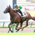 【小倉３Ｒ・３歳未勝利】「目指せ、菊花賞で」ドリームプレミアＶ　父ワールドプレミアは友道厩舎が現役時代に管理