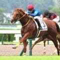 【小倉５Ｒ・２歳新馬】ブルーチップが２番手から楽々と抜け出しデビューＶ　高杉吏麒騎手「ゲートもセンス良く...」