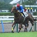 【小倉5R新馬戦結果】ファインニードル産駒ブルーチップが初陣飾る