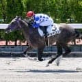 【函館5R新馬戦結果】サリオス産駒ダマスクが断然人気に応えて快勝