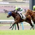 【小倉７Ｒ・３歳未勝利】オーナー顔負けの勝負強さ！ソフトバンク柳田悠岐選手の愛馬が２勝目　ベンティガオルサ首差Ｖ　
