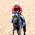 土曜福島競馬場の注目激走馬…福島１１Ｒ・ＴＵＦ杯