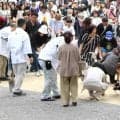 【大相撲】名古屋の珍光景？「甲子園の土取り」ならぬ「横綱土俵入りの砂取り」熱田神宮での両横綱奉納土俵入り後にファンが砂集め