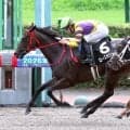【小倉１０Ｒ・雲仙特別】５年ぶりにＪＲＡレコード更新！ローズカリスが従来の記録を０秒１上回る好タイムで勝利