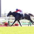 【函館１１Ｒ・ＴＶｈ杯】北の大地で素質開花！マーブルパレス２連勝に斎藤新騎手「いい内容で連勝。今後が楽しみ」