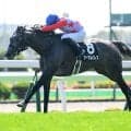 【JRA・WIN5】本日のWIN5は的中11557票、配当2万8600円