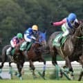 【盛岡・せきれい賞展望】11歳馬ゴールドギアが連覇へ挑戦…中央実績馬も集結で盛岡芝2400mは激戦必至