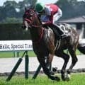 【AI予想・北九州記念】近5走で4勝と充実一途！ 人工知能は秋GIでの活躍見据える逸材に◎