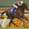 母はGI・2勝のメジャーエンブレム セレクト1億円超えのスターバーナーがデビュー勝ちなるか