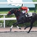 【小倉8R】断然人気ブルーマッキンジーが2勝目…単勝1.6倍の支持に応える