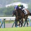 【小倉7R】ソフトバンク・柳田悠岐の愛馬ベンティガオルサが初勝利…ゴール前の追い比べ制す