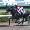 【小倉6R】ピエナオルカが8馬身差圧勝！断然の強さで逃げ切る