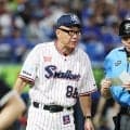 ヤクルト－DeNA戦中にMUFGスタジアムから花火　ちょうど７回が終わった直後に