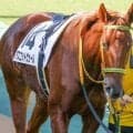 前走圧勝のアスコットヴェール 坂井瑠星騎手で連勝なるか