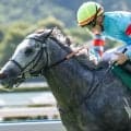 北九州記念は展開重視 前走重賞勝ち馬に注目だ