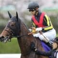 母は重賞2勝のジューヌエコール エスクアドラが新馬勝ちなるか