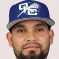 ドジャース、２６歳巧打捕手アルフォンゾがメジャー初昇格　ロビンソンがマイナー降格　海外記者伝える　首痛離脱中の正捕手スミスは前半戦絶望的