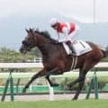 【函館５Ｒ・２歳新馬】フライトライン産駒のショウナンガレオンがレコードＶ　鮫島克駿騎手「スターになる素材はある」