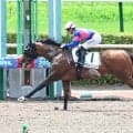 【小倉６Ｒ・２歳新馬】パンジャタワーの半弟タケルレジェンドが２馬身差Ｖ　川田将雅騎手「すごく楽しみな馬です」