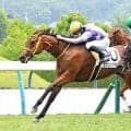 【福島６Ｒ・２歳新馬】ピクニックマーチが初陣Ｖ　木幡初也騎手は弟・巧也騎手と鼻差の大接戦で“兄弟ワンツー”