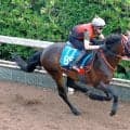 日曜福島競馬場の注目激走馬…福島１１Ｒジュライステークス