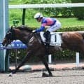 【小倉6R新馬戦結果】パンジャタワーの半弟タケルレジェンドが逃げ切りV