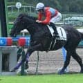 【小倉5R新馬戦結果】6番人気ポルトブルーが逃げ切り快勝 祖母はファレノプシス