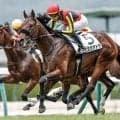 【福島5R新馬戦結果】レイデオロ産駒エスクアドラが差し切り新馬勝ち