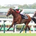 【函館１０Ｒ・横津岳特別】武豊騎手５０００勝までマジック２！　キタサンブラックの半弟アルマデオロを華麗にエスコート