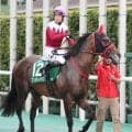 【北九州記念】やった！１番人気のフリッカージャブが重賞初制覇　４年目の西園調教師はうれしいＪＲＡ初タイトル