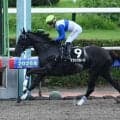 【JRA・WIN5】本日のWIN5は的中2621票、配当20万5580円