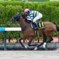 【大沼S結果】4番人気ワイドブリザードが4馬身差で快勝
