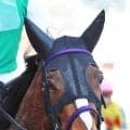 【北九州記念】９番人気ジェニファーが激走２着も　田山旺佑騎手は「勝たせてあげられなかったのは...」と悔やむ