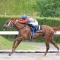 【ジュライＳ】「逃げか番手と思って…」小崎綾也騎手のイメージ通り　ストレングスが２年ぶりの１７００メートル戦で勝利