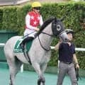 【北九州記念】痛恨の出遅れ...川田将雅騎手のデアヴェローチェは１０着　「いい競馬をしてあげられませんでした」