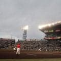 「ホンマに阪神園芸さんすごい」甲子園の阪神-広島戦が定刻にプレーボール　雨が降っていたとは思えないグラウンド状況「大感謝」「よく定刻に」