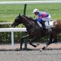 【新馬/小倉6R】パイロ産駒タケルレジェンドがデビューV…人気に応え鮮やか逃げ切り