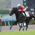 【新馬/小倉5R】西村淳也騎手がJRA通算500勝！ポルトブルー逃げ切りV…断然人気ジャンゴットは8着