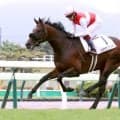 【函館５Ｒ・新馬戦】２・１億円馬が２歳コースレコード！「スターになれる素材」鮫島駿がショウナンガレオン絶賛