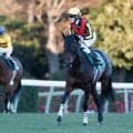 福島で伝統のハンデ重賞・七夕賞/今週の競馬界の見どころ