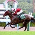 【北九州記念】フリッカージャブが重賞初制覇　西園翔太調教師「規格外」スプリンターズＳで短距離王狙う