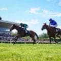【仏サンクルー大賞】カランダガンが連覇、史上初のセン馬2勝目…次走はキングジョージ視野
