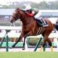 【函館１０Ｒ・横津岳特別】「やっぱり素質馬」武豊騎手がＧ１・６勝の半弟をVに導き５０００勝へあと「２」