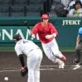 広島・坂倉　５・２３以来の猛打賞「悪いカウントからでも対応できている」　村上キラー今季対戦打率・３７５　「勝てるように」
