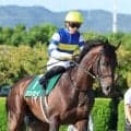 【阿蘇Ｓ・松ケ下の特注馬】初の小倉ダートでもジンセイが盤石か　７月１日にＣＷでラスト１ハロン自己ベスト１０秒９