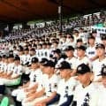 夢舞台へ高まる鼓動　高校野球大分大会開幕、開会式はスタンドで開催