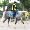 【七夕賞】コーナー４つの福島替わりでマイネルモーントが巻き返しへ　高木調教師「前でレースを運ぶことも」