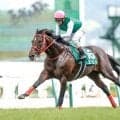 七夕賞の歴代勝ち時計ランキング 最速1分57秒8を記録したのはエヒト