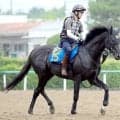 【七夕賞・角田の特注馬】前崩れの前走は度外視可能　アスクナイスショーが先行有利の重賞で浮上する
